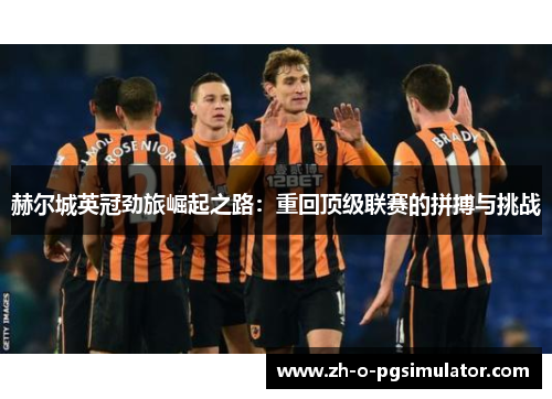 赫尔城英冠劲旅崛起之路：重回顶级联赛的拼搏与挑战