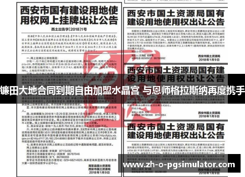 镰田大地合同到期自由加盟水晶宫 与恩师格拉斯纳再度携手