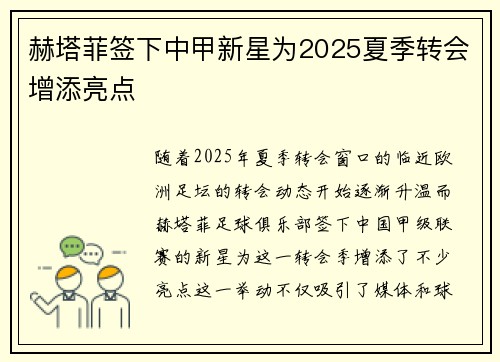 赫塔菲签下中甲新星为2025夏季转会增添亮点