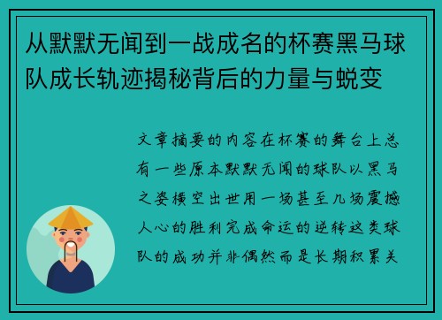 从默默无闻到一战成名的杯赛黑马球队成长轨迹揭秘背后的力量与蜕变